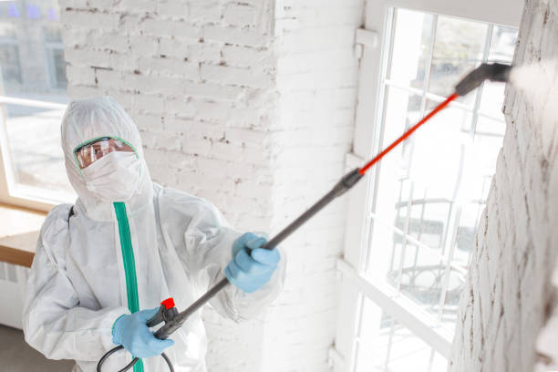 Best Real Estate Mold Inspection  in Winston, OR