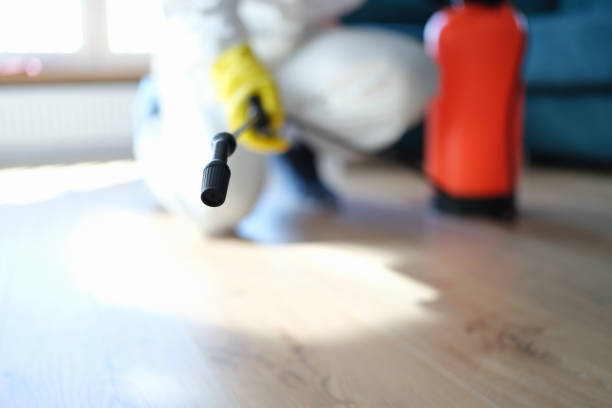 Mold Remediation for Rental Properties in Winston, OR