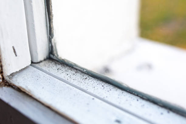 Best Air Quality Testing for Mold Spores  in Winston, OR